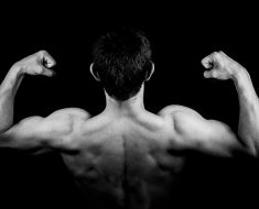 entrenar musculos espalda